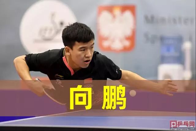 堪称现象级