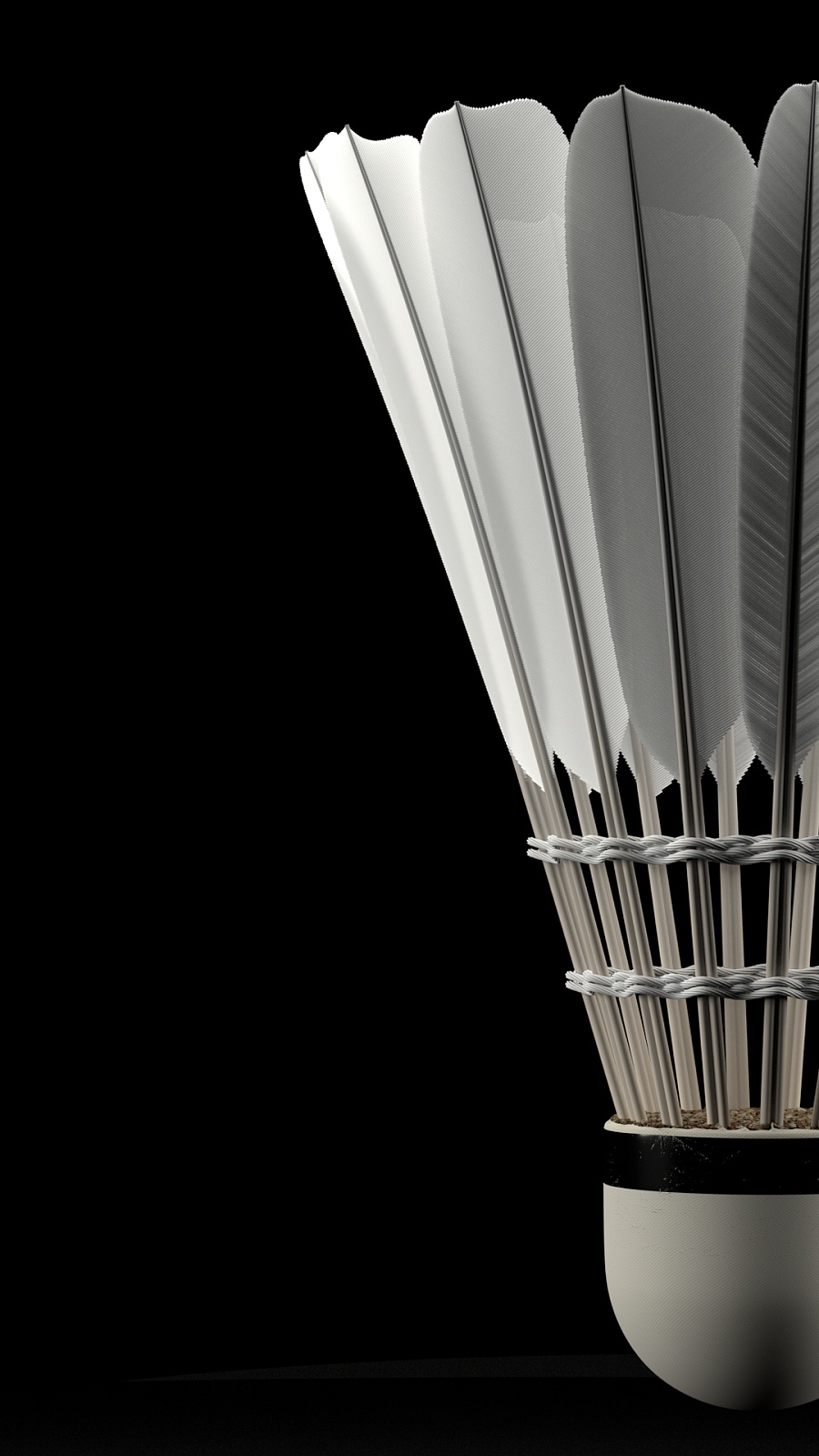 欧文与凯文 欧文与凯文