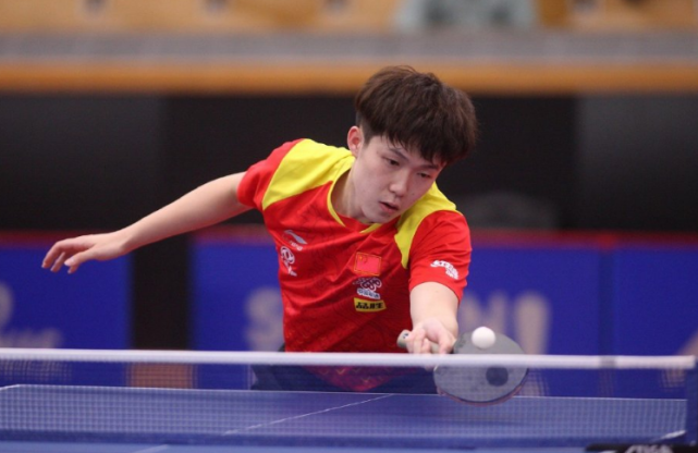 鹈鹕都在不 鹈鹕都在不