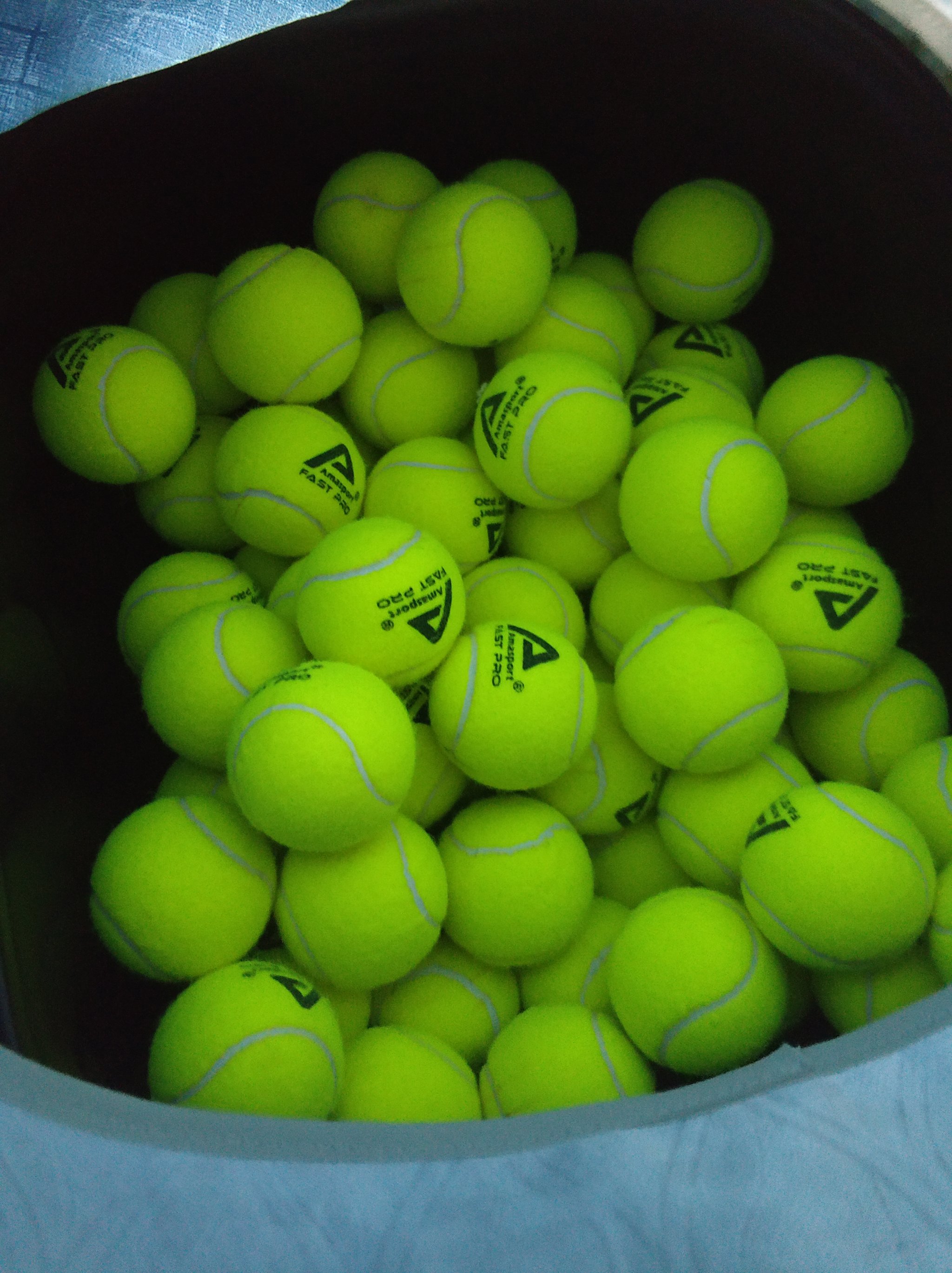 标赛暨20 标赛暨20