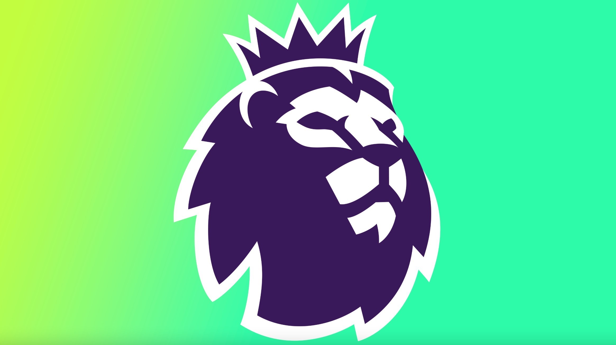 在這個領域 在這個領域